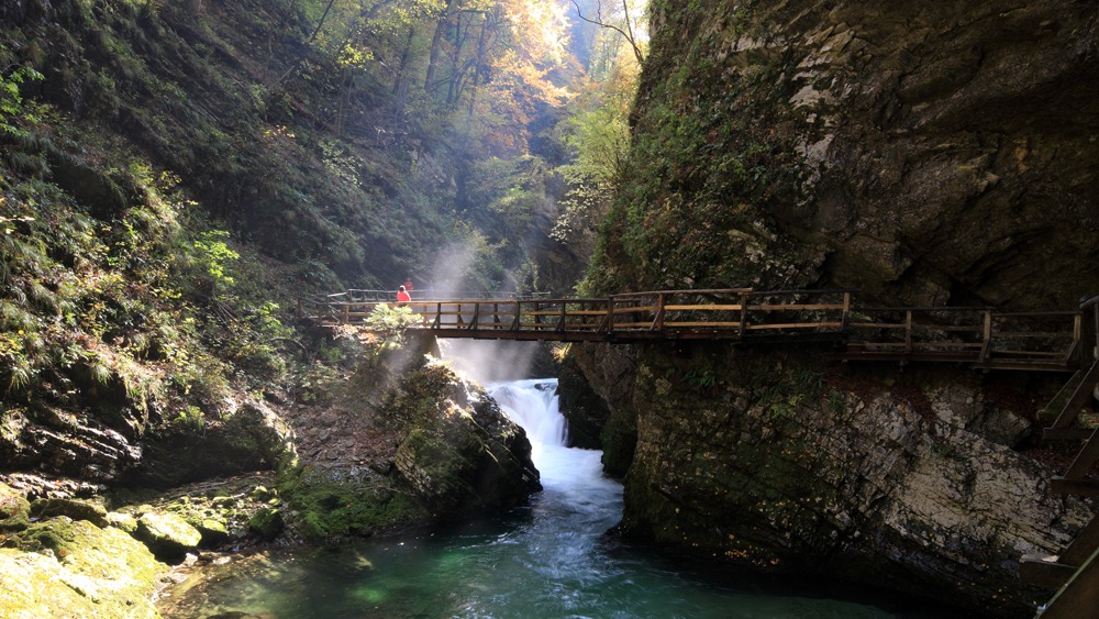 Rustic bridge across a cascade in a wooded canyon.