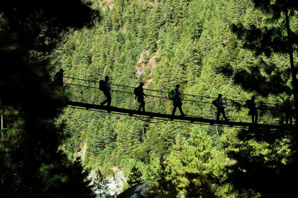 silhouetted people walking across a suspension bridge against a forest backdrop